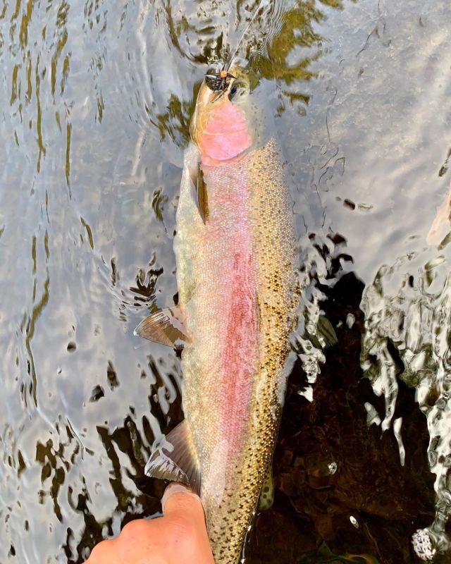 Fly Fisherman in a Belly Boat fishing for Trout in Hi Hium Lake in the  Cariboo Region of British Columbia Canada Stock Photo - Alamy