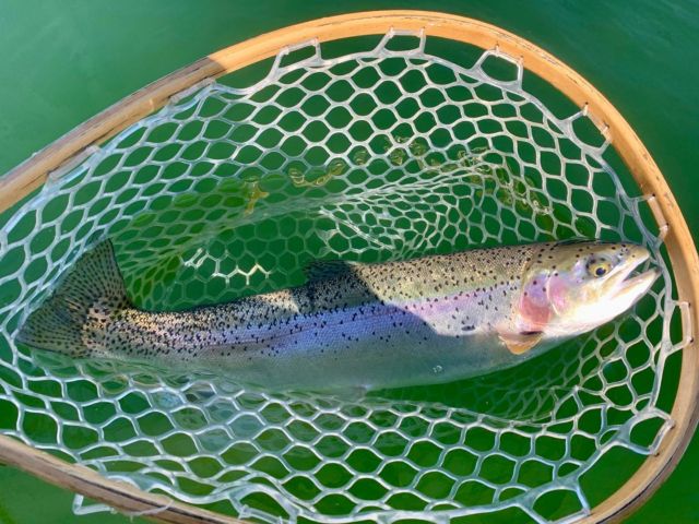 Fly Fisherman in a Belly Boat fishing for Trout in Hi Hium Lake in the  Cariboo Region of British Columbia Canada Stock Photo - Alamy