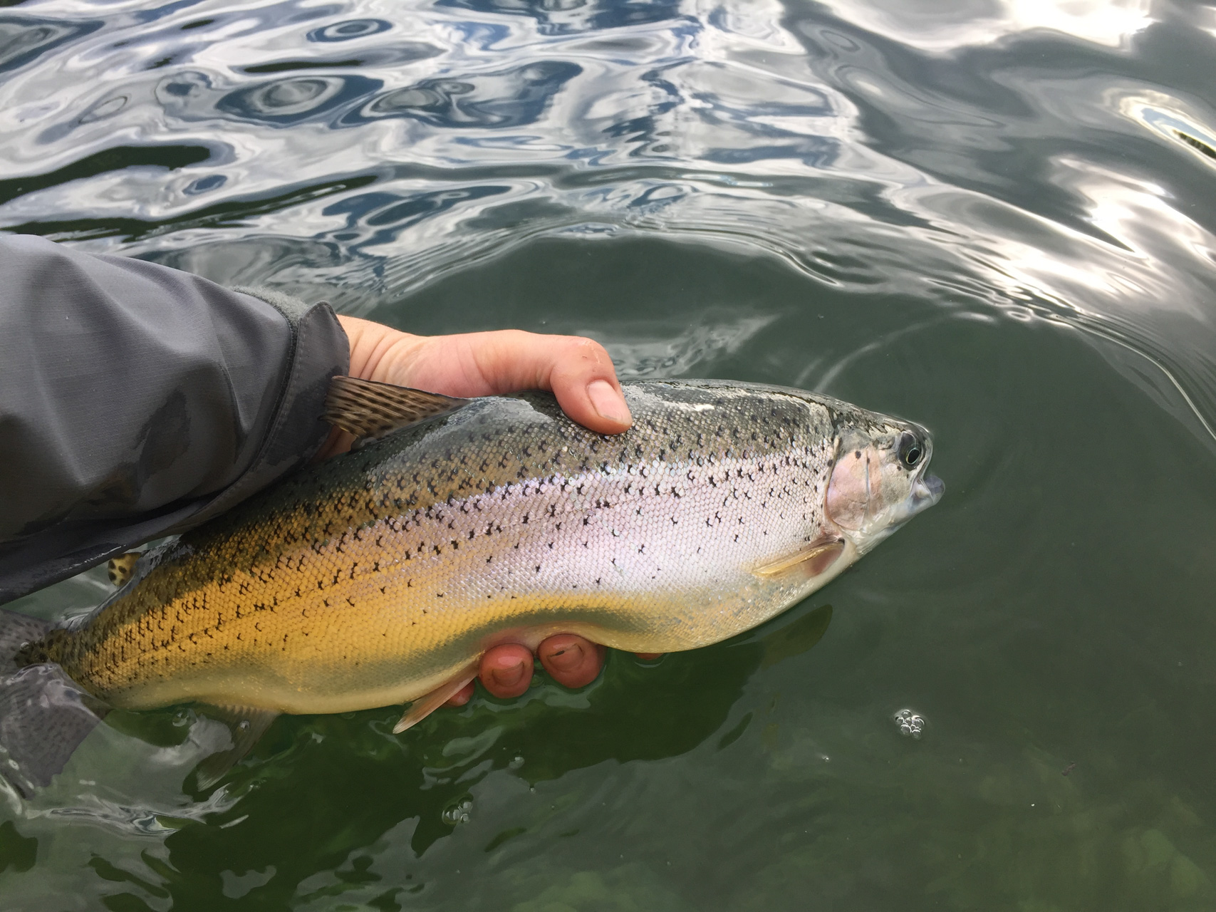 Fly Fishing Guides British Columbia - Cariboo Fishing Adventures